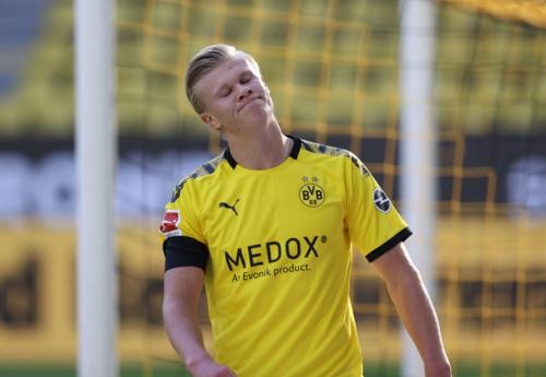 期待他将再 期待他将再