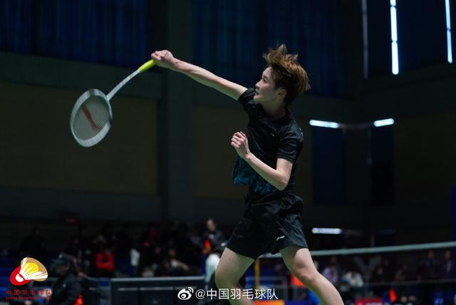 他们追求卓 他们追求卓